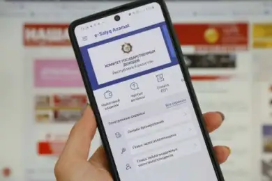 «Не такое уж удобное»: в Мажилисе критиковали мобильное приложение для налогоплательщиков 