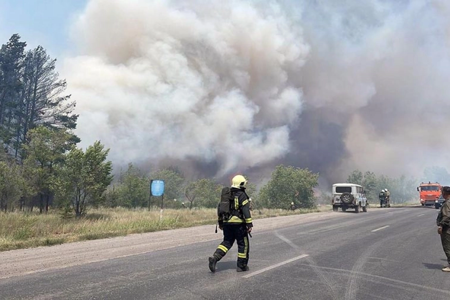 Близ Караганды загорелась лесопосадка, пожар раздувает ветер 