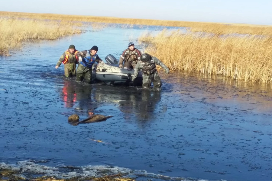 В Акмолинской области после двухнедельных поисков нашли тело утонувшего рыбака 