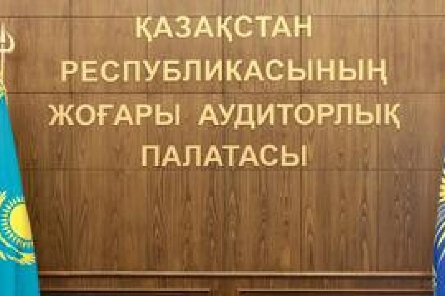 ВАП проводит аудит в Нацгвардии Казахстана и проверит расходы на борьбу с теневой экономикой  