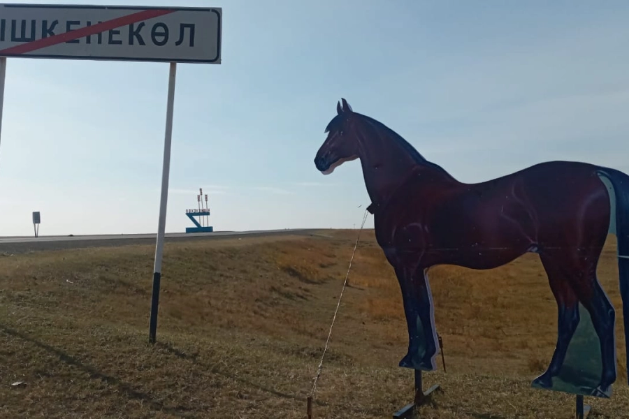 В райцентре СКО установили предупреждающие макеты для водителей - фото 